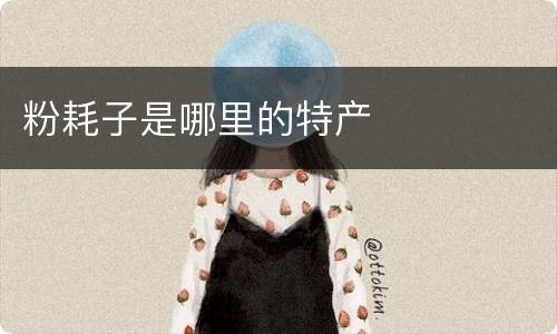 粉耗子是哪里的特产