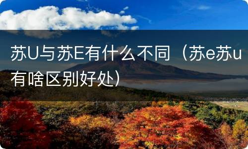 苏U与苏E有什么不同（苏e苏u有啥区别好处）
