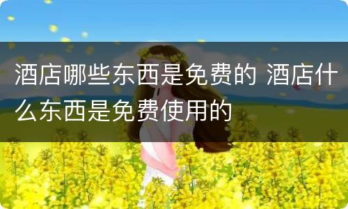 酒店哪些东西是免费的 酒店什么东西是免费使用的