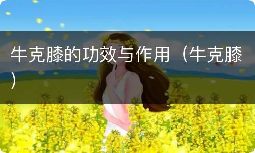 牛克膝的功效与作用（牛克膝）