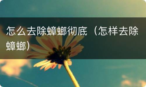 怎么去除蟑螂彻底（怎样去除蟑螂）