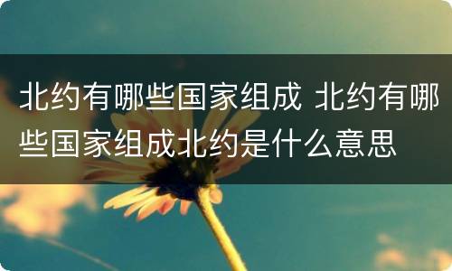 北约有哪些国家组成 北约有哪些国家组成北约是什么意思
