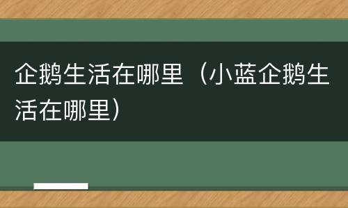 企鹅生活在哪里（小蓝企鹅生活在哪里）