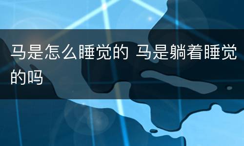 马是怎么睡觉的 马是躺着睡觉的吗
