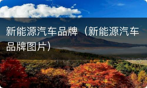 新能源汽车品牌（新能源汽车品牌图片）