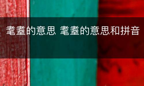耄耋的意思 耄耋的意思和拼音