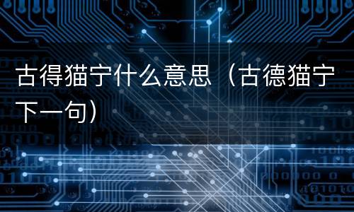 古得猫宁什么意思（古德猫宁下一句）