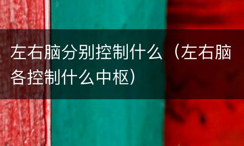 左右脑分别控制什么（左右脑各控制什么中枢）