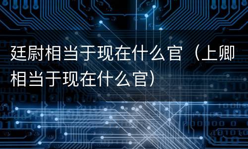 廷尉相当于现在什么官（上卿相当于现在什么官）