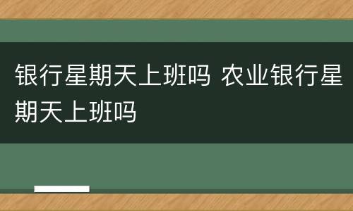 银行星期天上班吗 农业银行星期天上班吗