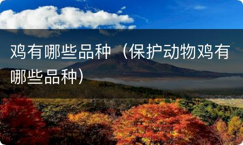 鸡有哪些品种（保护动物鸡有哪些品种）
