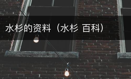 水杉的资料（水杉 百科）