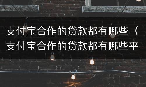 支付宝合作的贷款都有哪些（支付宝合作的贷款都有哪些平台）
