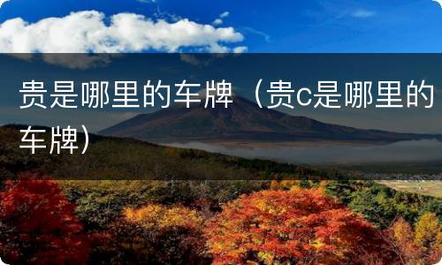贵是哪里的车牌（贵c是哪里的车牌）