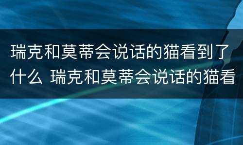 瑞克和莫蒂会说话的猫看到了什么 瑞克和莫蒂会说话的猫看到了什么画面