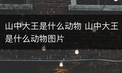 山中大王是什么动物 山中大王是什么动物图片