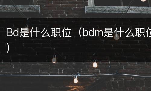 Bd是什么职位（bdm是什么职位）