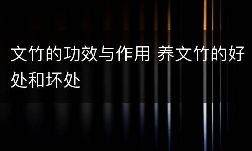 文竹的功效与作用 养文竹的好处和坏处