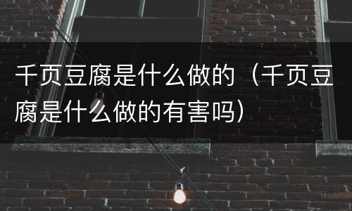 千页豆腐是什么做的（千页豆腐是什么做的有害吗）