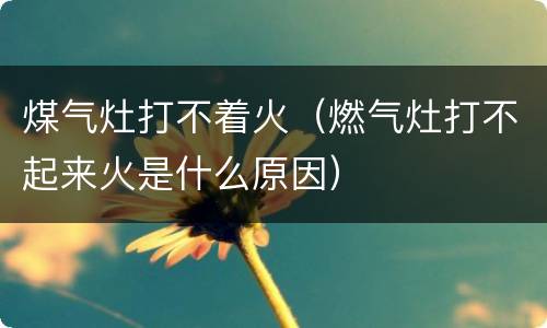 煤气灶打不着火（燃气灶打不起来火是什么原因）