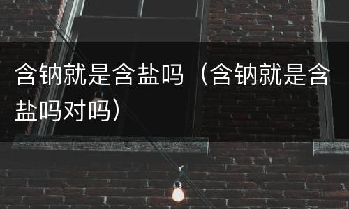 含钠就是含盐吗（含钠就是含盐吗对吗）