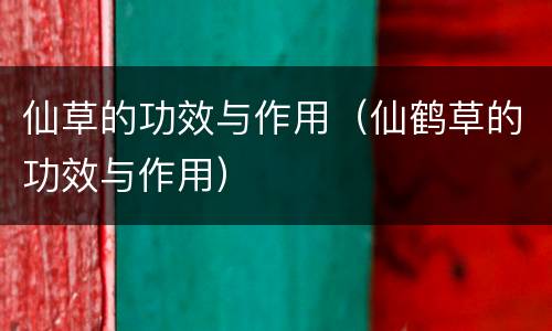 仙草的功效与作用（仙鹤草的功效与作用）
