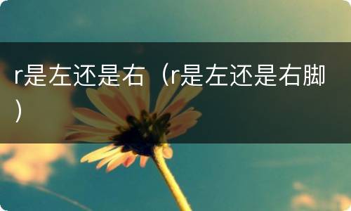 r是左还是右（r是左还是右脚）
