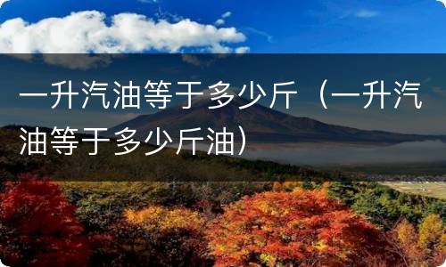 一升汽油等于多少斤（一升汽油等于多少斤油）