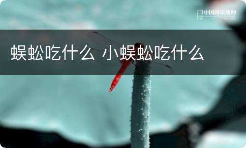 蜈蚣吃什么 小蜈蚣吃什么