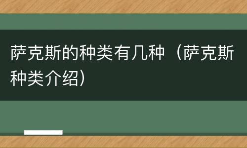 萨克斯的种类有几种（萨克斯种类介绍）