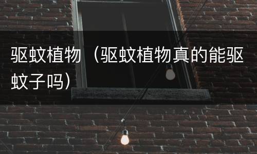 驱蚊植物（驱蚊植物真的能驱蚊子吗）