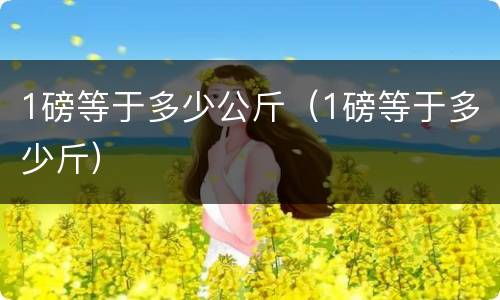 1磅等于多少公斤（1磅等于多少斤）