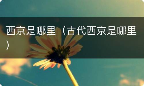 西京是哪里（古代西京是哪里）