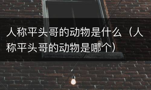 人称平头哥的动物是什么（人称平头哥的动物是哪个）