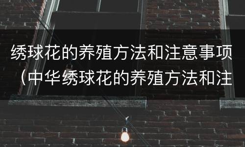 绣球花的养殖方法和注意事项（中华绣球花的养殖方法和注意事项）