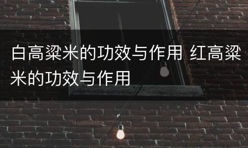 白高粱米的功效与作用 红高粱米的功效与作用