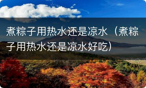煮粽子用热水还是凉水（煮粽子用热水还是凉水好吃）