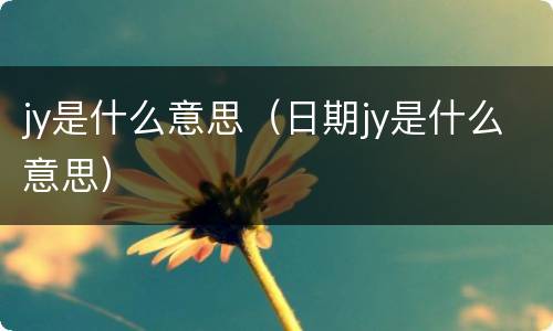 jy是什么意思（日期jy是什么意思）