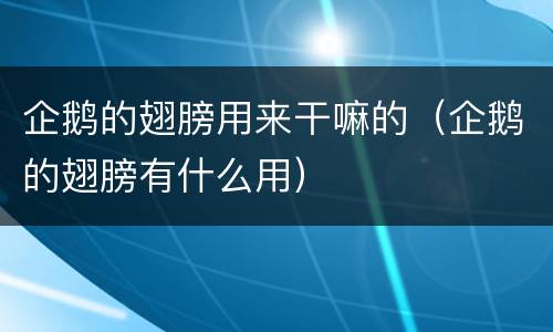 企鹅的翅膀用来干嘛的（企鹅的翅膀有什么用）