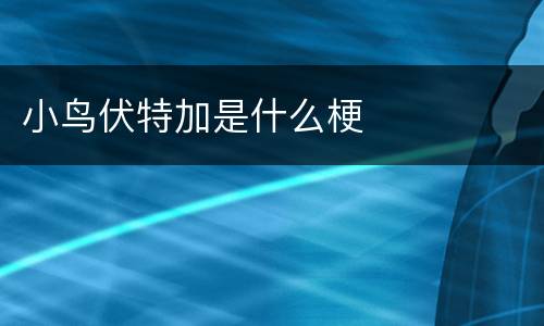 小鸟伏特加是什么梗