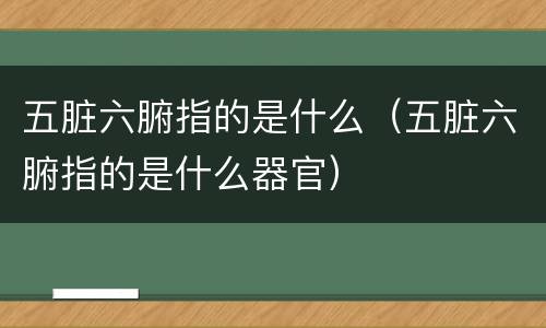 五脏六腑指的是什么（五脏六腑指的是什么器官）
