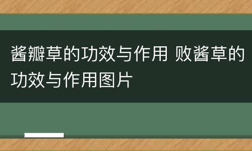 酱瓣草的功效与作用 败酱草的功效与作用图片
