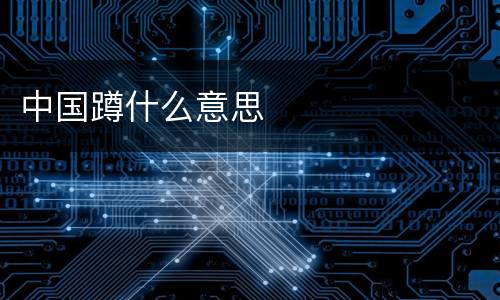 中国蹲什么意思