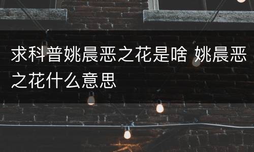 求科普姚晨恶之花是啥 姚晨恶之花什么意思