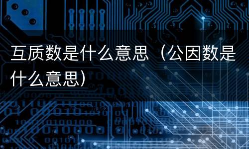 互质数是什么意思（公因数是什么意思）