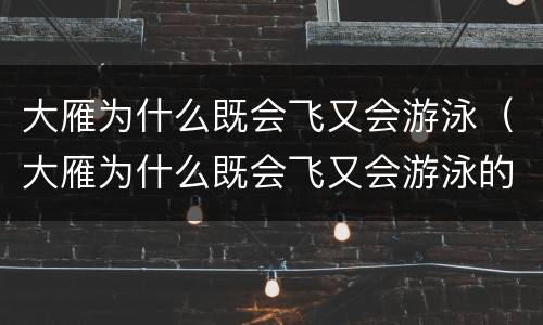 大雁为什么既会飞又会游泳（大雁为什么既会飞又会游泳的原因）