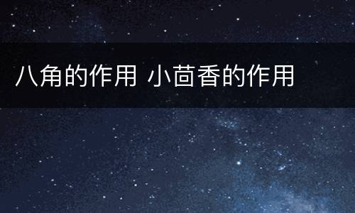 八角的作用 小茴香的作用
