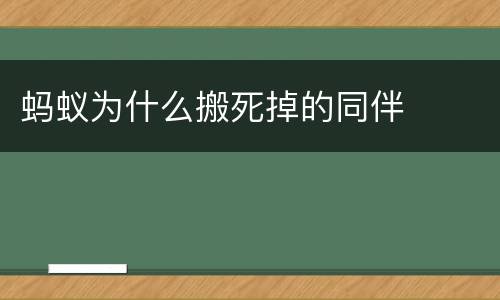 蚂蚁为什么搬死掉的同伴