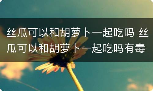 丝瓜可以和胡萝卜一起吃吗 丝瓜可以和胡萝卜一起吃吗有毒吗