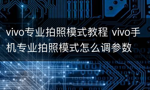vivo专业拍照模式教程 vivo手机专业拍照模式怎么调参数